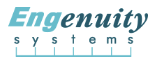 Engenuity Systems logo